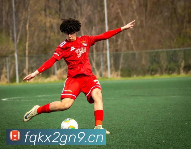 开云app官方在线登录平台生态图